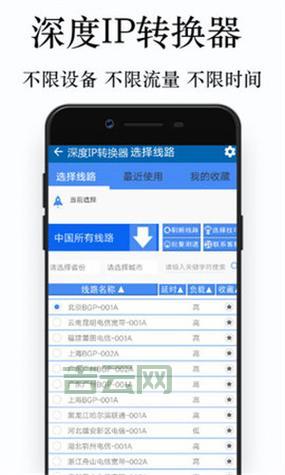 深度解析2ip8：流量购买与IP查询一站式服务