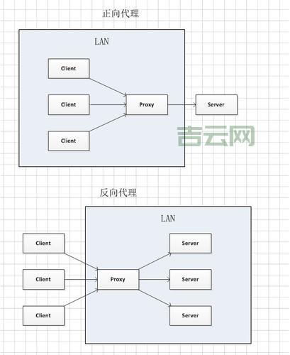 什么是迅雷下载代理服务器及其工作机制？