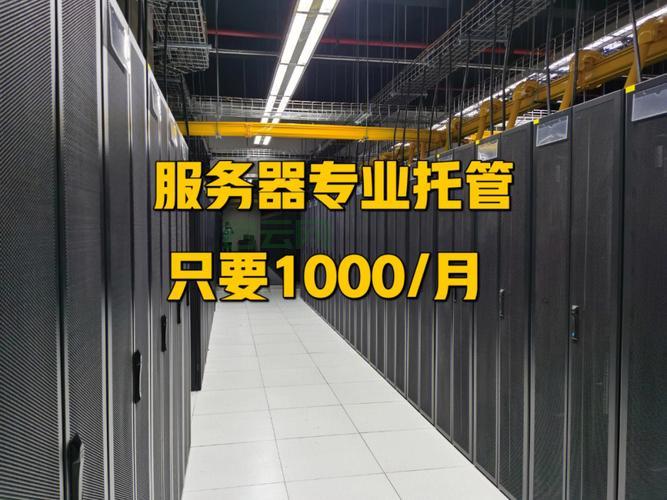 东莞服务器托管与租用解决方案，优化企业网络性能