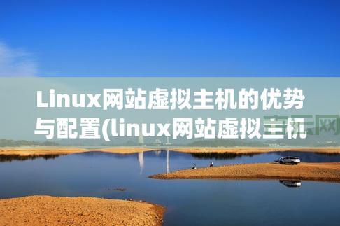 免费Linux主机推荐：高效稳定的建站首选