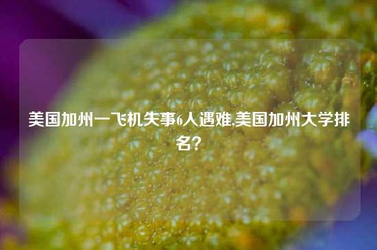 美国加州一飞机失事6人遇难,美国加州大学排名？