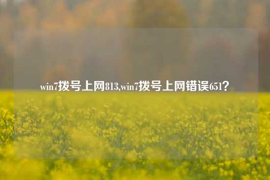 win7拨号上网813,win7拨号上网错误651？