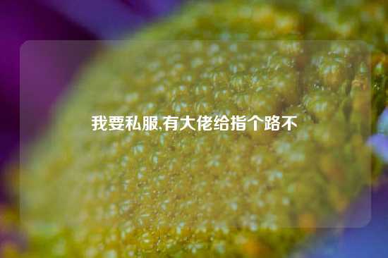 我要私服,有大佬给指个路不