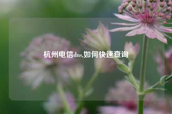 杭州电信dns,如何快速查询