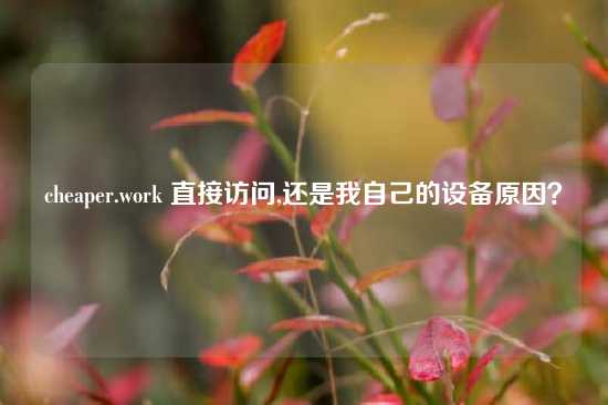 cheaper.work 直接访问,还是我自己的设备原因？