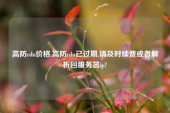 高防cdn价格,高防cdn已过期,请及时续费或者解析回服务器ip?