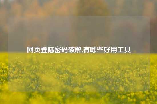 网页登陆密码破解,有哪些好用工具