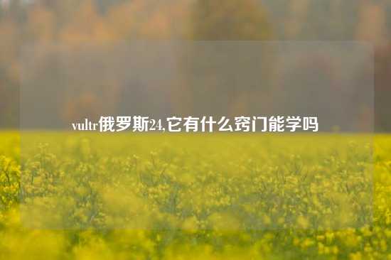 vultr俄罗斯24,它有什么窍门能学吗