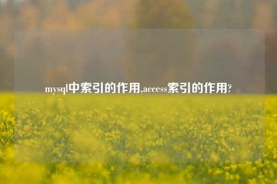 mysql中索引的作用,access索引的作用?