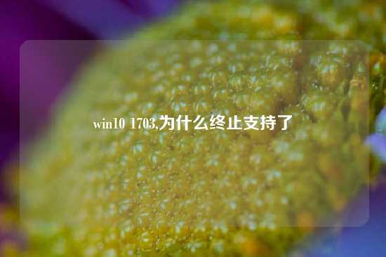 win10 1703,为什么终止支持了