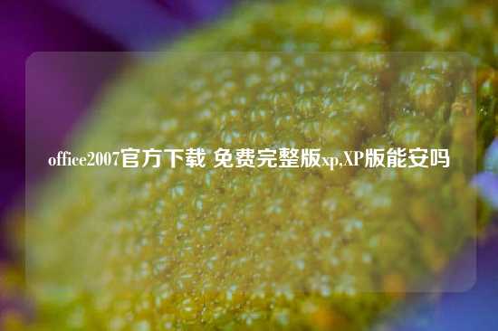office2007官方下载 免费完整版xp,XP版能安吗