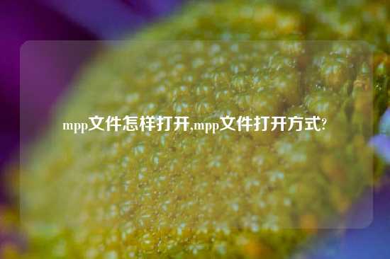 mpp文件怎样打开,mpp文件打开方式?