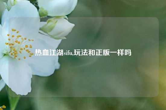 热血江湖sifu,玩法和正版一样吗