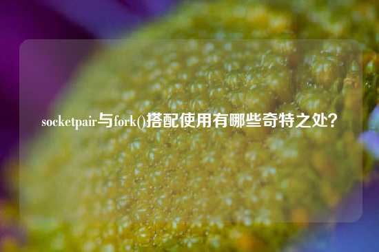 socketpair与fork()搭配使用有哪些奇特之处？