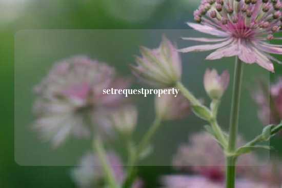 setrequestproperty