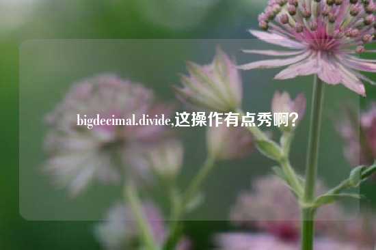 bigdecimal.divide,这操作有点秀啊？