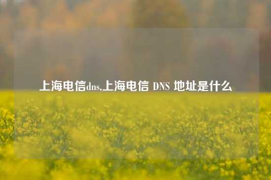 上海电信dns,上海电信 DNS 地址是什么