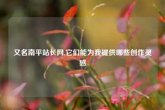 又名南平站长网,它们能为我提供哪些创作灵感