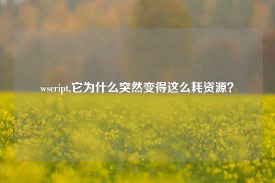wscript,它为什么突然变得这么耗资源？
