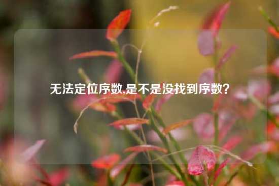 无法定位序数,是不是没找到序数？