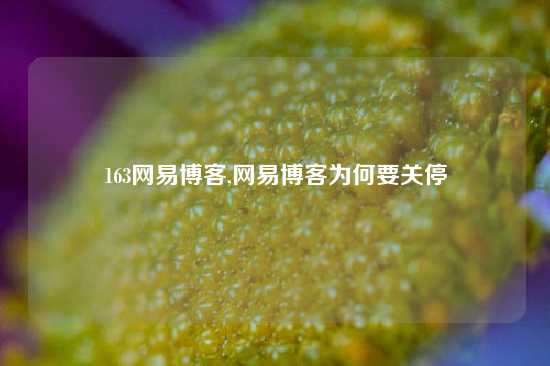 163网易博客,网易博客为何要关停