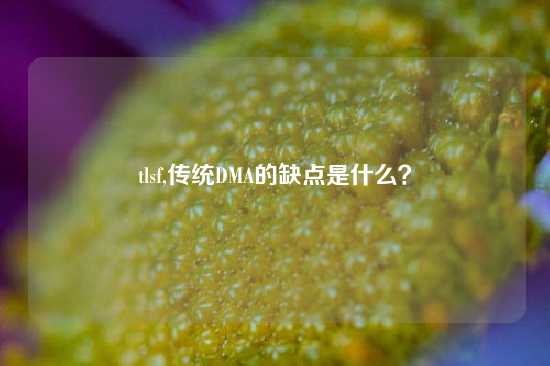 tlsf,传统DMA的缺点是什么？