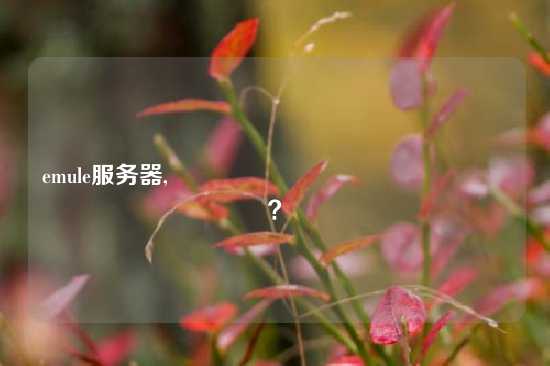 emule服务器, کدام یک بهتر است؟？