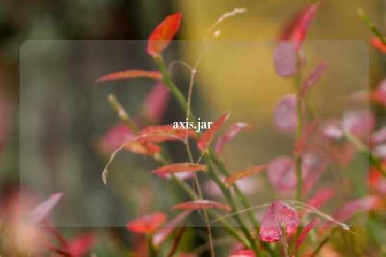 axis.jar