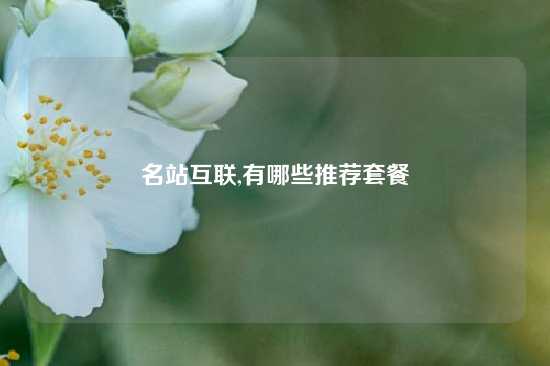 名站互联,有哪些推荐套餐