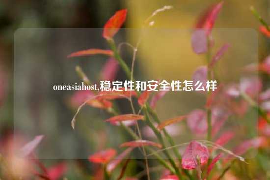oneasiahost,稳定性和安全性怎么样