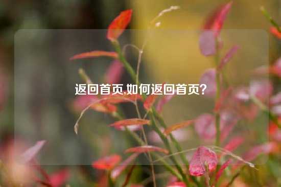 返回首页,如何返回首页？