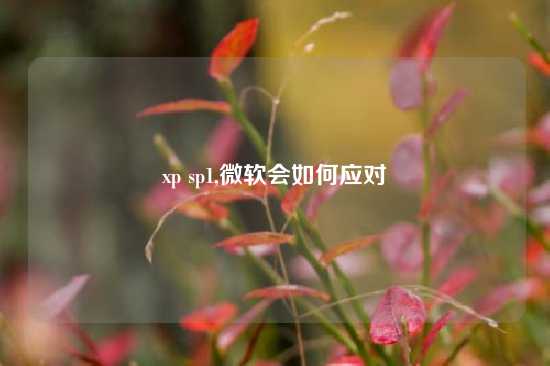 xp sp1,微软会如何应对