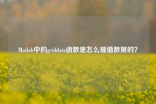 Matlab中的griddata函数是怎么插值数据的？