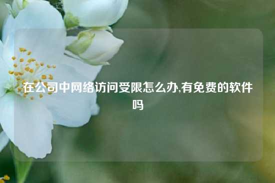 在公司中网络访问受限怎么办,有免费的软件吗