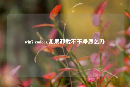 win7 codecs,如果卸载不干净怎么办