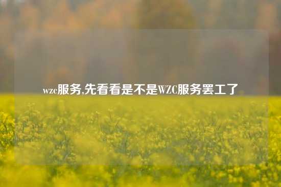wzc服务,先看看是不是WZC服务罢工了