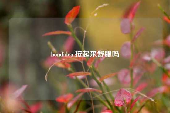 bondidea,按起来舒服吗