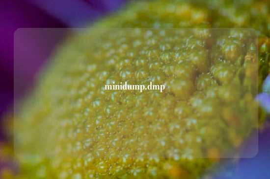 minidump.dmp