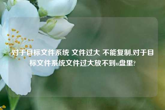 对于目标文件系统 文件过大 不能复制,对于目标文件系统文件过大放不到u盘里?