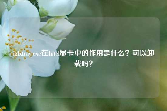 igfxtray.exe在Intel显卡中的作用是什么？可以卸载吗？