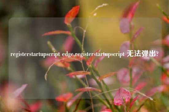 registerstartupscript edge,registerstartupscript 无法弹出?