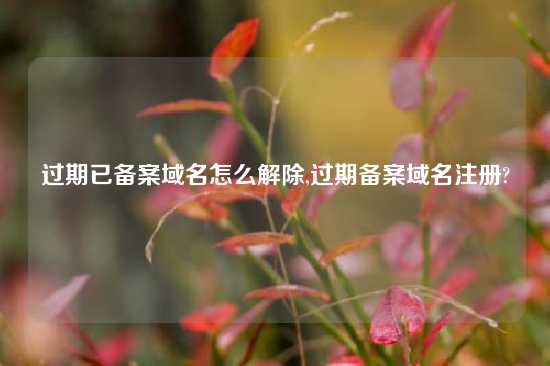 过期已备案域名怎么解除,过期备案域名注册?