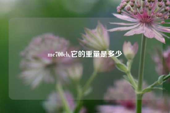 mc700ch,它的重量是多少
