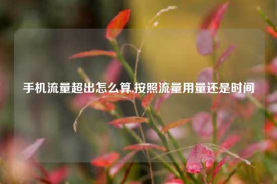 手机流量超出怎么算,按照流量用量还是时间