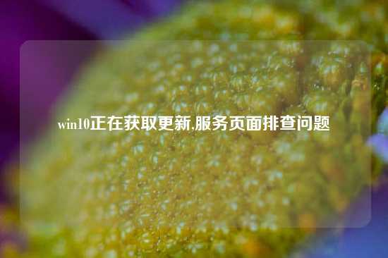 win10正在获取更新,服务页面排查问题