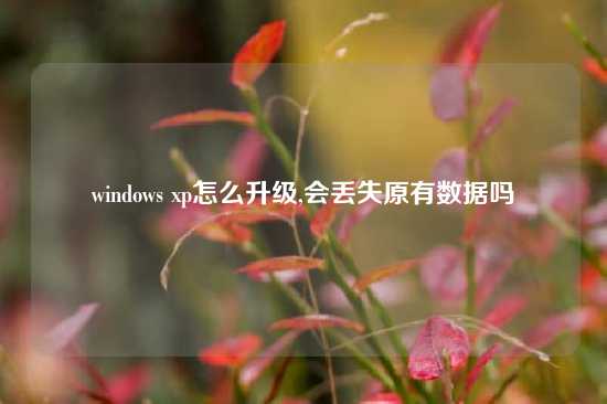 windows xp怎么升级,会丢失原有数据吗