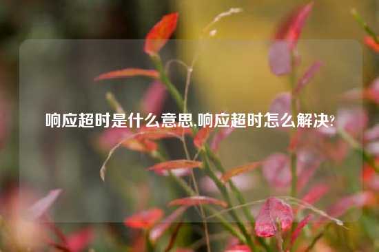 响应超时是什么意思,响应超时怎么解决?