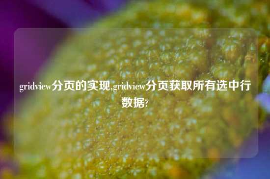 gridview分页的实现,gridview分页获取所有选中行数据?