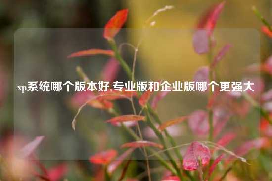 xp系统哪个版本好,专业版和企业版哪个更强大