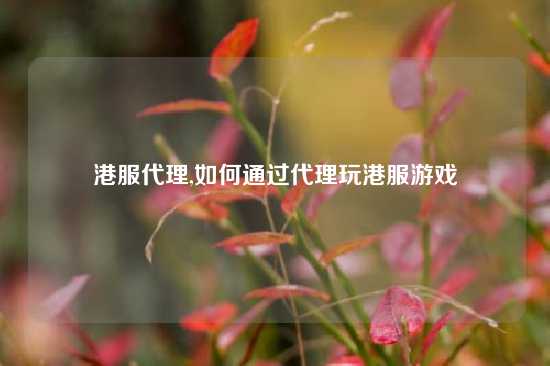 港服代理,如何通过代理玩港服游戏